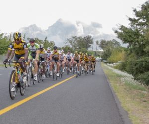 Riders in action during last year's Bestmed Tour de Boland in the Western Cape's wine country. The 2014 edition of the four-day tour starts on March 4. Photo: Capcha Photography