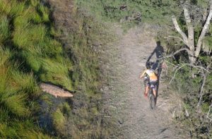 Photo: Zoon Cronje
