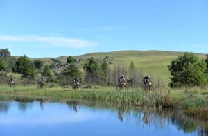 Ashburton Dullstroom