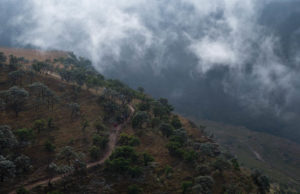 Grindrod Bank has come on board as the presenting sponsor of the Berg and Bush mountain bike race in the Central Drakensberg, which marks its first decade of existence on October 9. Photo: Em Gatland/Nikon