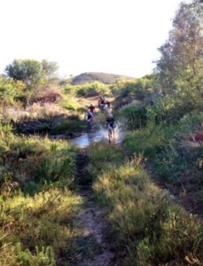 Top six riders making their way to the finish line for 2016 Attakwas MTB Challenge. Photo: twitter.com/attakwas