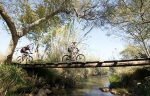 Some riders en route during the FNB Magalies Monster MTB Challenge, today. Photo: twitter.com/magmonstermtb