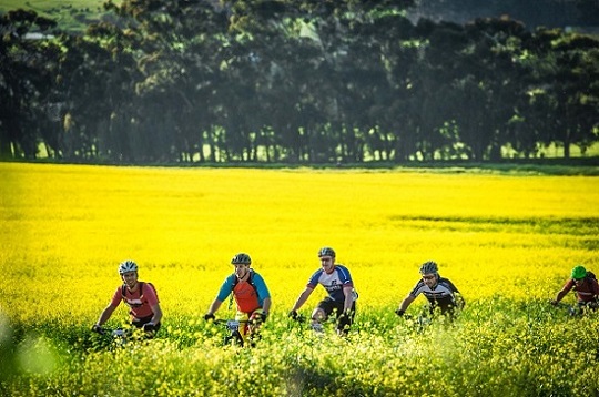 Mountain bike enthusiasts are in for a treat at the second annual Fedhealth MTB Challenge at the Meerendal Wine Estate this weekend. Photo: Tobias Ginsberg