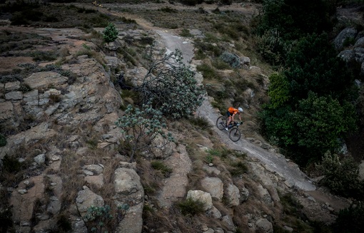 A top elite field will start this year's Berg and Bush Descent. Photo: Em Gatland