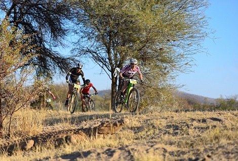 A crocodile basks in the morning sun at Rooiberg as Darren Lill rides past, followed by Philip Buys and Max Knox. Photo: Supplied