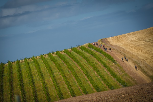 Riders in action during stage three of the W2W MTB Adventure. Photo: Tobias Ginsberg