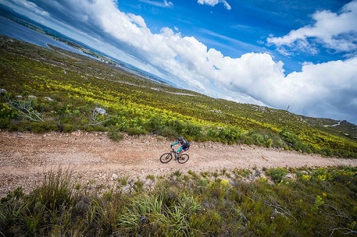 Mountain bikers in action during stage one of the Wines2Whales Adventure. Photo: Tobias Ginsberg