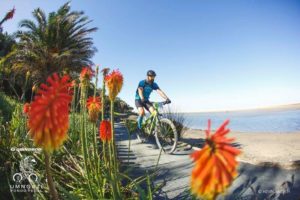 A rider in action at the Umngazi Pondo Pedal