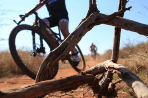 Dry bushveld at the Waterberg MTB Encounter
