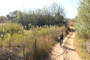 Two riders in action at the Waterberg MTB Encounter.