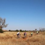Four riders at the Waterberg MTb Encounter