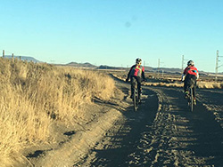 Action at the 1000 Miler