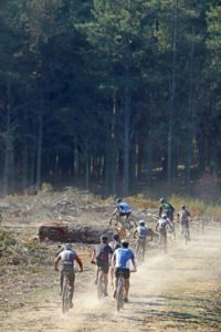 The bunch in action at the Knysna Cycle Tour MTB Race