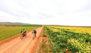 Riders pass a beautiful green pasture on the Around The Pot Overberg 100 Miler route.