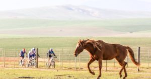 Riders pass a horse during the Around The Pot Overberg 100 Miler.