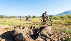 A carcass spotted on a section of the iMfolozi MTB Challenge route.