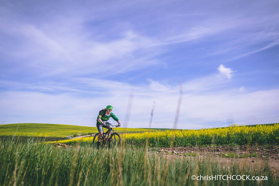 A rider in colourful field surrounds