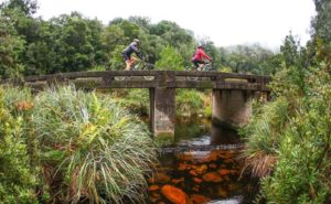 Rider crossing a bridge on stage one of the Storms River Traverse.