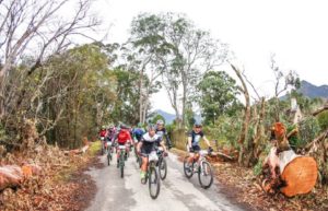 A group of riders in action on stage one of the Storms River Traverse.