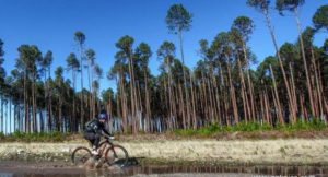 A rider going through a puddle