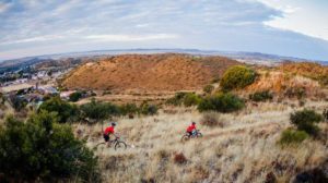 Dry Karoo landscape