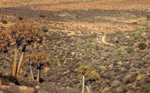 An image of the scenery the riders got to enjoy on the second day of the Namaqua Quest MTB Stage Race.