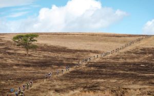 Pictured here are some of the riders during the first stage of the Berg and Bush 'Great Trek'.