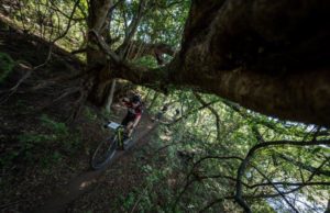 The Berg and Bush 'Great Trek' riders had some tricky parts on the final stage's route.