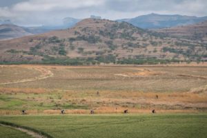Riders got to enjoy the beautiful scenery of the Drakensberg area on day one of the Berg and Bush 'Descent'.