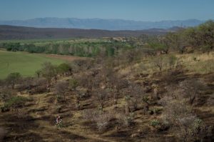 Dormakaba in action at Berg and Bush