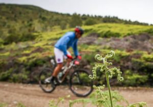 The third day of the Cape Pioneer Trek saw riders enjoy cool conditions.