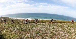 Cape Pioneer Trek coastal scenery