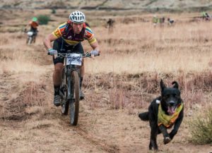 A dog takes the lead at the Lesotho Sky