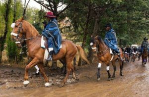 Horses lead out riders at Lesotho Sky