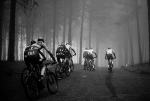 Misty Kaapsehoop forests during the National MTB Series