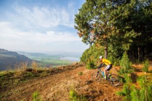 Sani Dragon action
