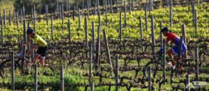 Hemel en Aarde scenery