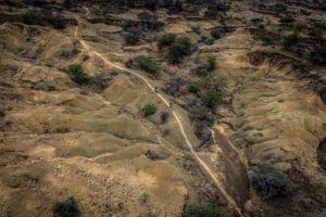 Berg and Bush single track