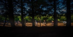 Riders make their way through a forest section during stage one of the Wines2Whales Adventure. Photo: Tobias Ginsberg