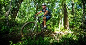 A rider passes through a beautiful forest section on the Wines2Whales Ride route.
