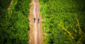 An aerial view of riders during day one of the Wines2Whales Ride.