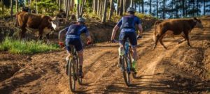 Unusual obstacles at Wines2Whales Ride