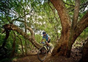 Scenery from the 947 Mountain Bike Challenge