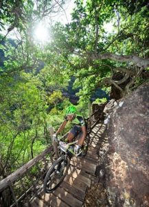 A rider enjoyes a lovely forest section while crossing a bridge on the Trailseeker route.