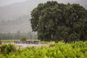 A scenic view of cyclists during the Stellenbosch Cycle Tour.