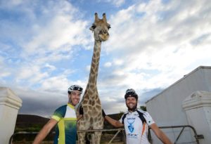 Two riders pictured with a giraffe during the 2018 Attakwas Extreme MTB Challenge.