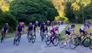 Festival of Cycling