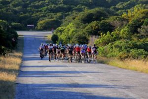 Festival of Cycling