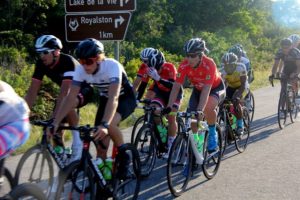 Festival of Cycling