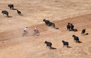 Simon Andreassen and Alan Hatherly at Tankwa Trek